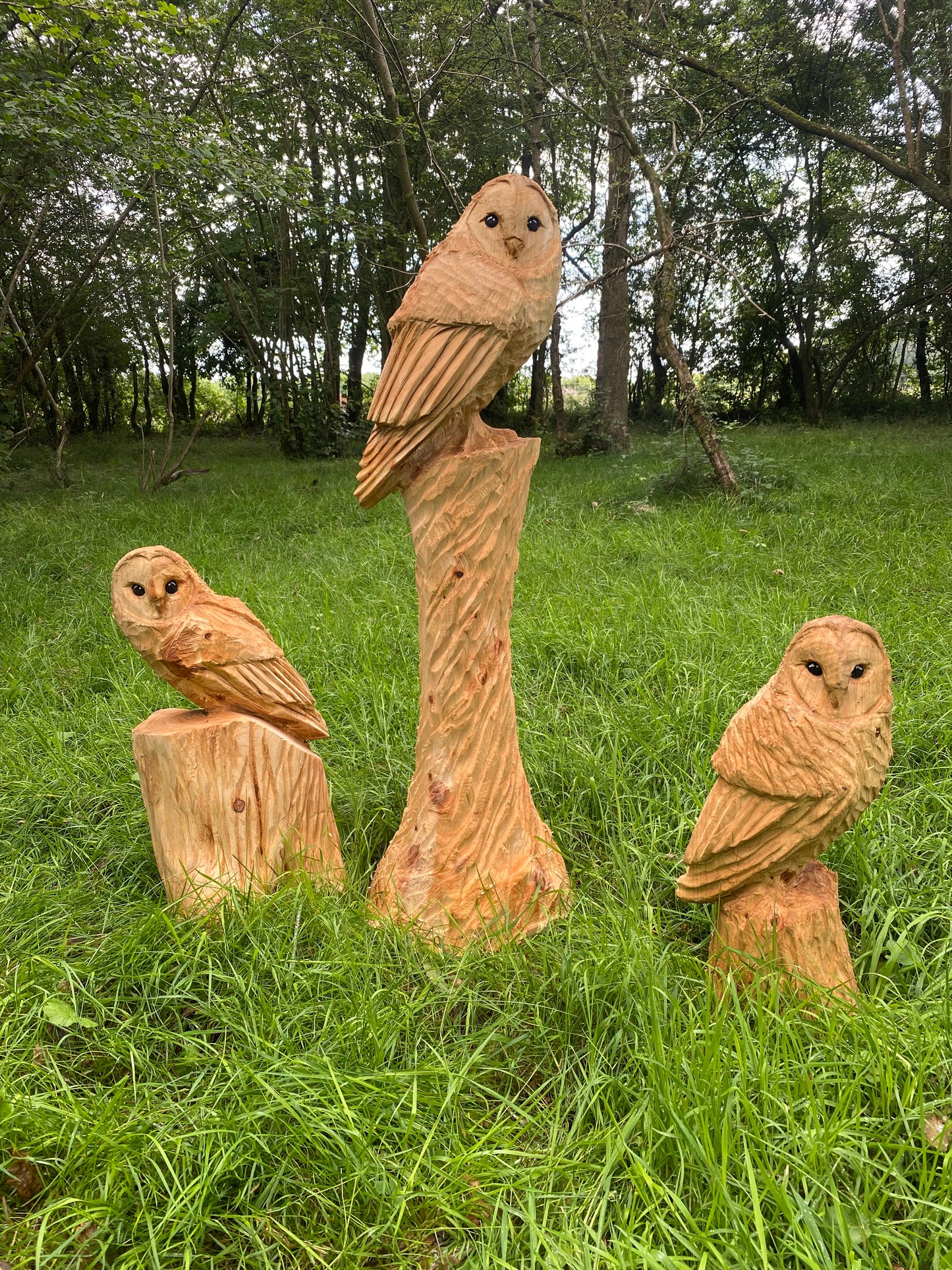 Owl Chainsaw Sculpture