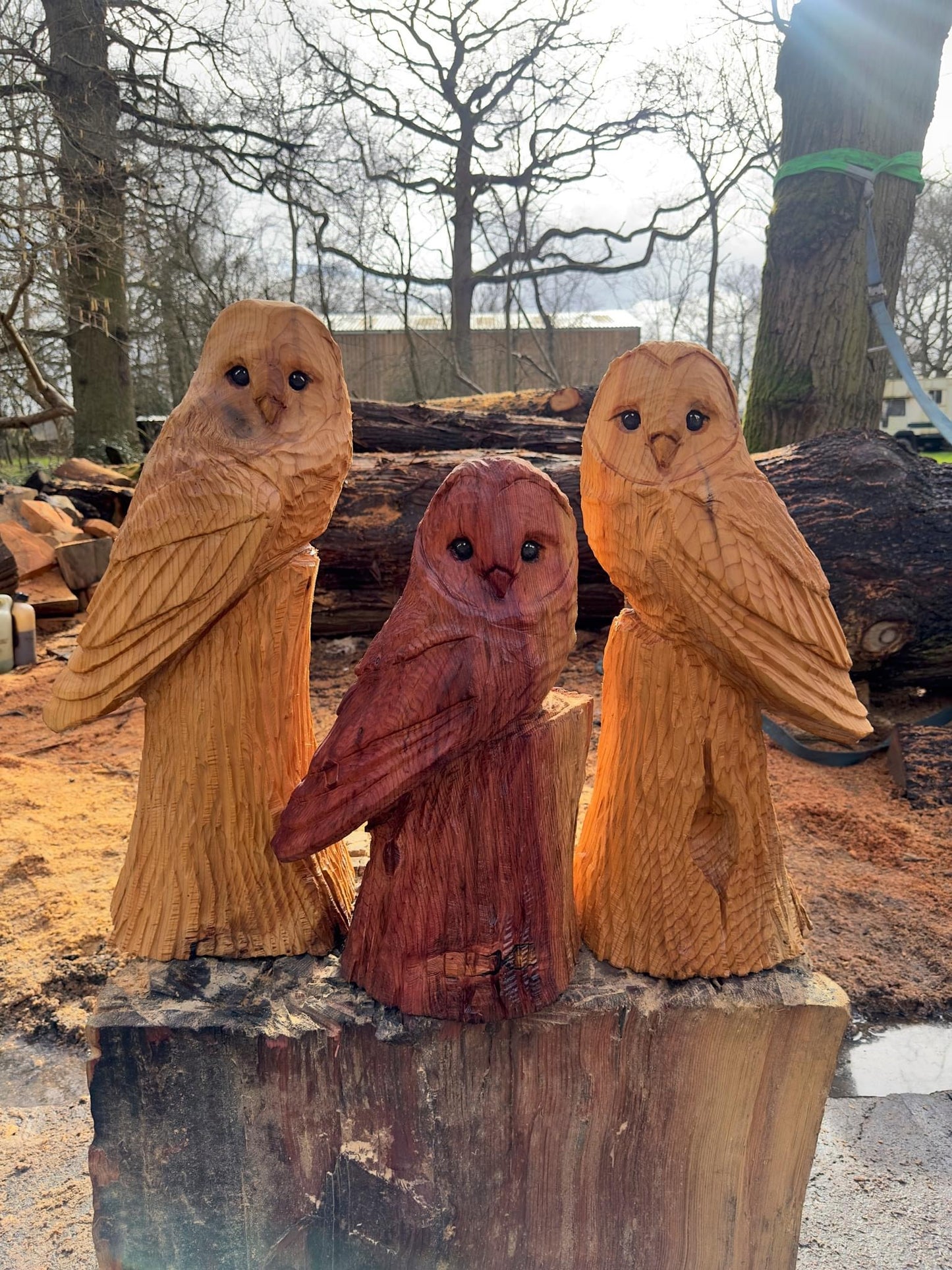 Owl Chainsaw Sculpture