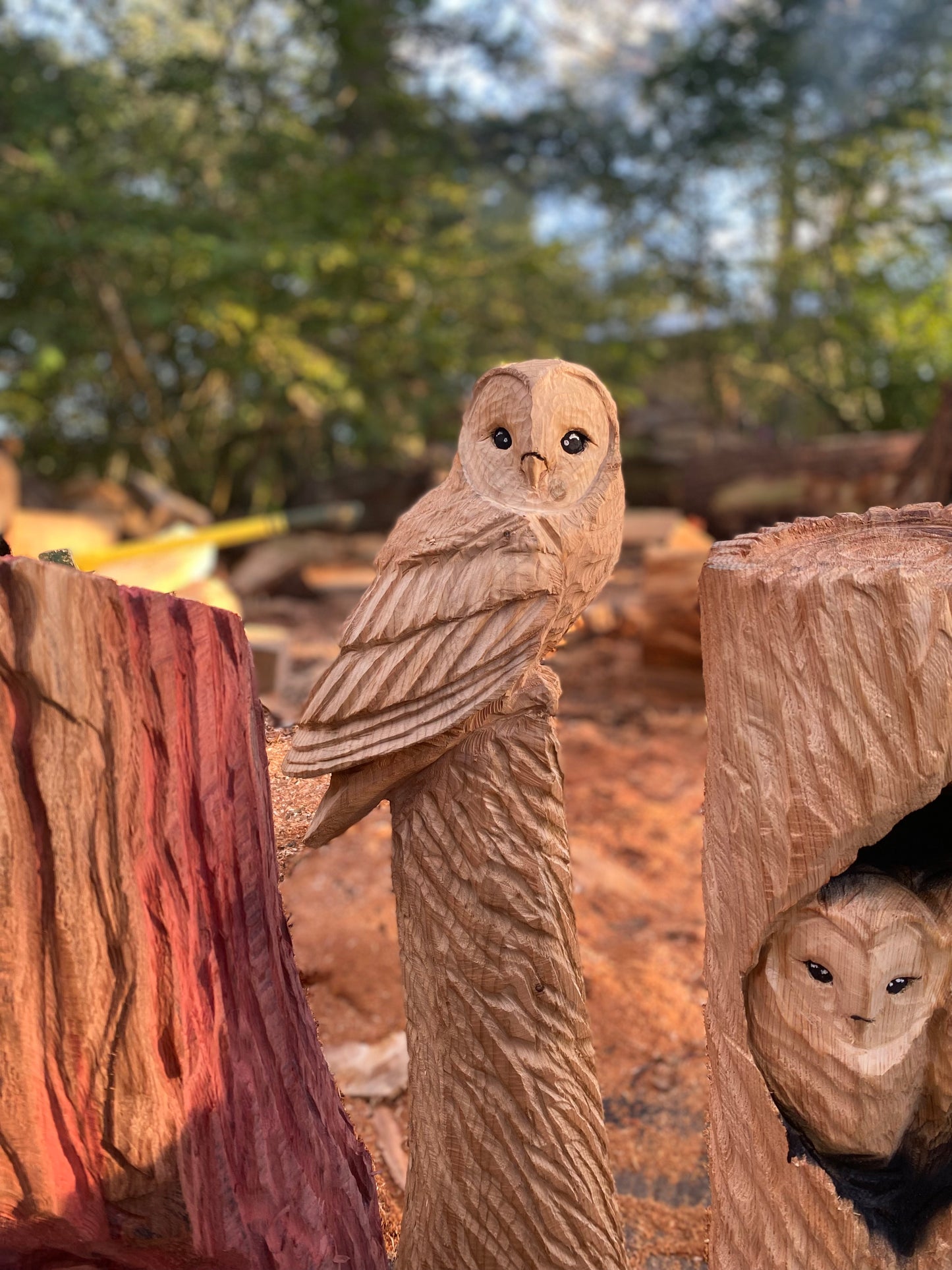 Owl Chainsaw Sculpture