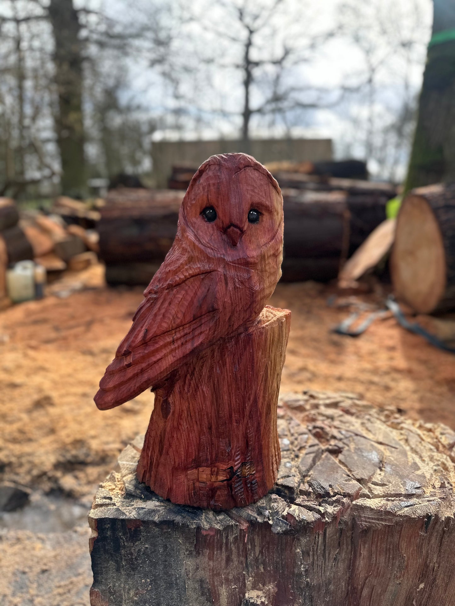 Owl Chainsaw Sculpture