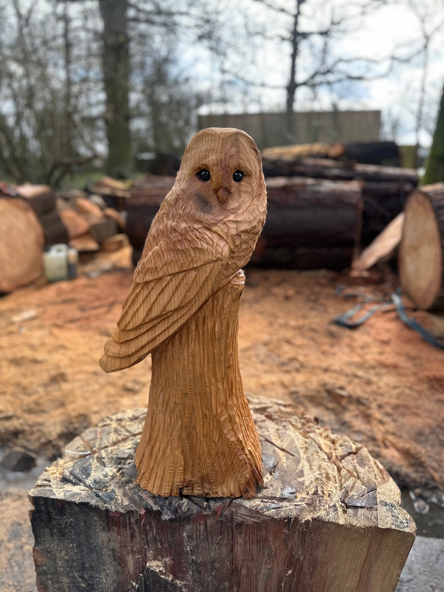 Owl Chainsaw Sculpture