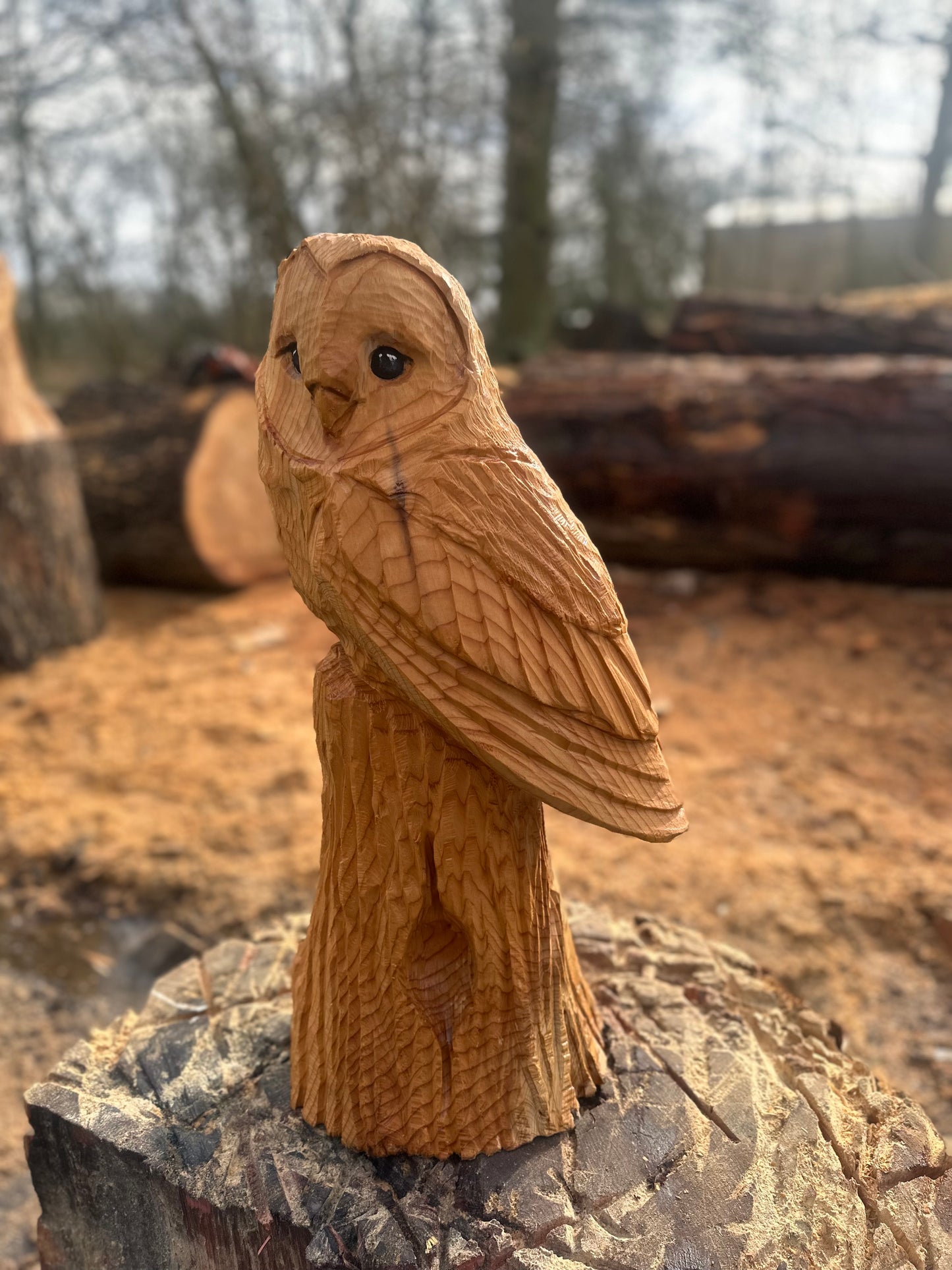 Owl Chainsaw Sculpture