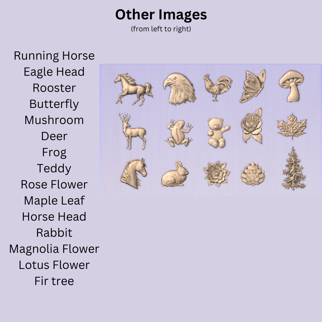 Name & Animal Signs